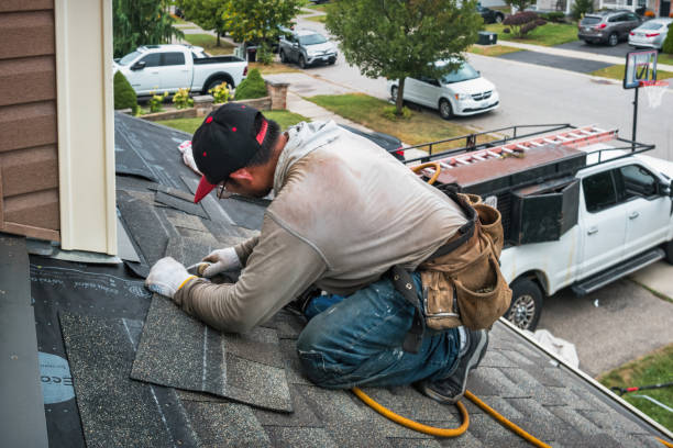 Professional Gutter Repair And Installation technician working in Chadwick, IL